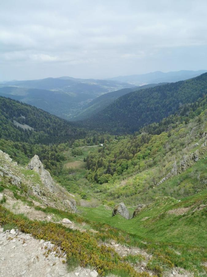 Studio Hauteur Gérardmer Kültér fotó
