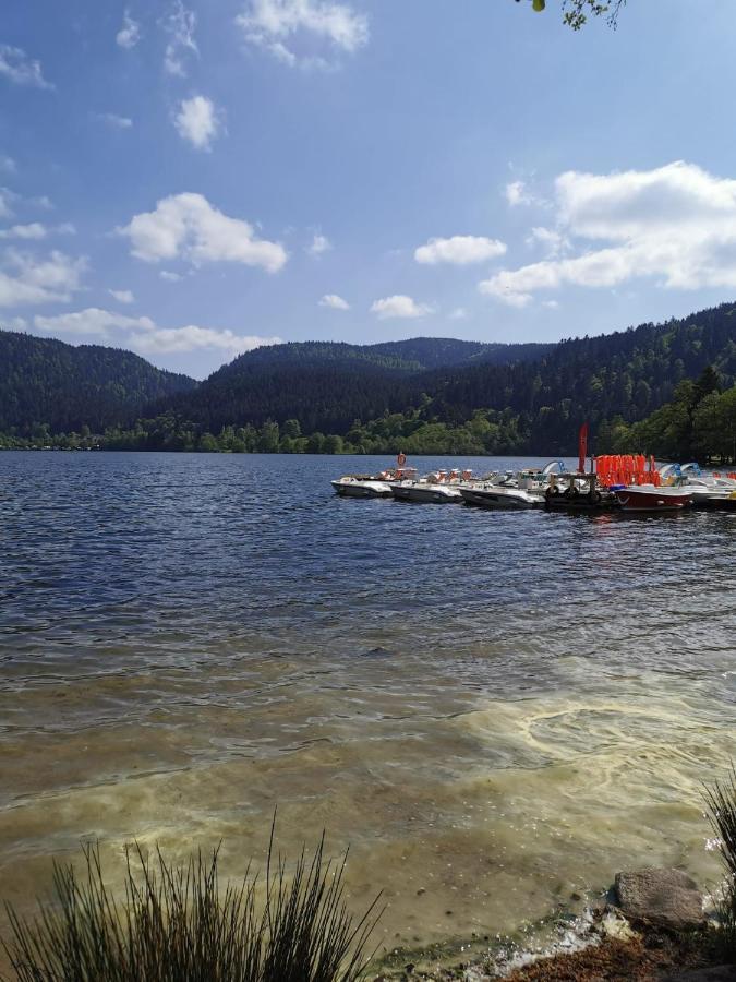 Studio Hauteur Gérardmer Kültér fotó
